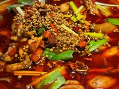 -宽口美蛙鱼头(大唐西市店)