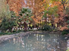 -苏州河梦清园环保主题公园