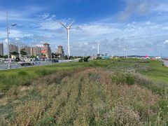-那香海钻石沙滩浴场