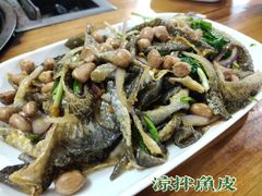 鱼皮-章记正宗南岗鱼蛋火锅