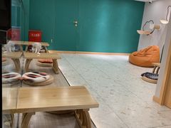 -飞行喵MR PILOT|猫舍·猫咖(静安大融城店)