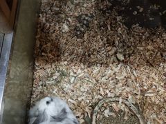 -上海大自然野生昆虫馆(东方明珠·爬宠昆虫探索中心)