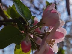 -海棠花溪(元大都城垣遗址公园)