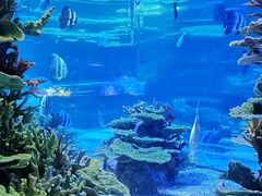 -欢乐海岸海洋奇梦馆