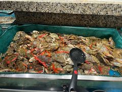 -初色海鲜自助(万丰路店)