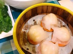 水晶虾饺-蓝记茶餐厅(勒泰店)