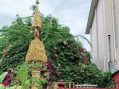 -品德宏·孔雀宴的发源地(金塔园店)