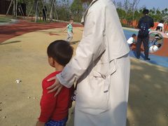 -春花秋色城市公园