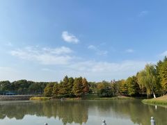 -贡湖湾湿地公园