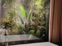 -万泊酒店(长沙五一广场国金中心店)