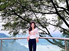 -铁山坪森林公园