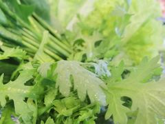 -青岛小羔羊火锅(李村公园店)