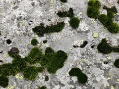 -秦岭风景区