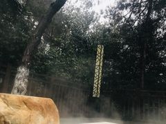 -天目湖涵田半山温泉
