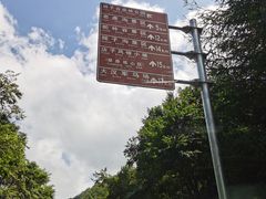 -关山草原