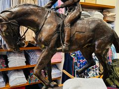 -Polo Ralph Lauren(青浦百联奥特莱斯广场店)