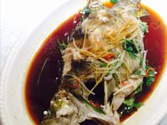 -浦江餐饮•上海菜馆(五四路店)