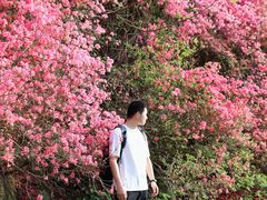 -木兰云雾山