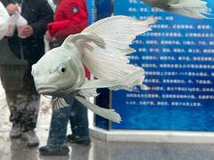 -长春农业博览园