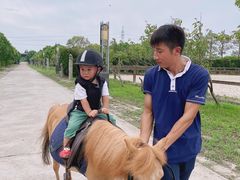 -松声马术俱乐部