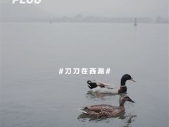 -苏堤停车场