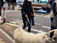 -崇光百货(铜锣湾店)