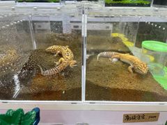 -三旗百汇商品城