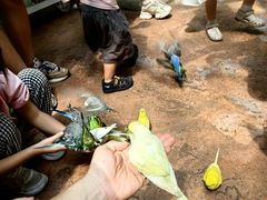 -正佳雨林生态植物园