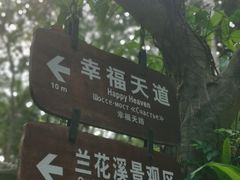 -呀诺达热带雨林