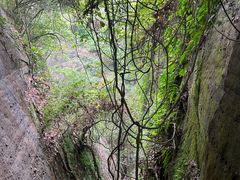 -越王山风景区