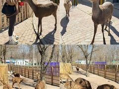 -水上乐园·欢乐世界