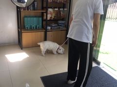 -汪说喵讲宠物乐园宠物酒店(红星美凯龙店)
