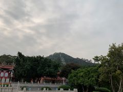 -青礁慈济宫