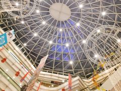 -高新活力汇Vitality