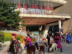 -灵玲国际马戏城