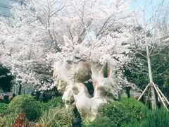 -上海港国际客运中心