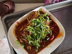 -同銮特种养殖场·龙虾垂钓