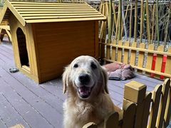 -上海崇明金茂凯悦酒店