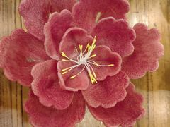 -老雒阳面馆·水席(王城路店)