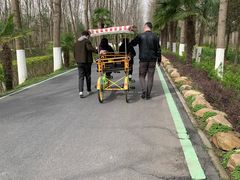 -合肥滨湖国家森林公园