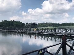 -溱湖国家湿地公园