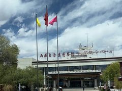 -西藏自治区图书馆