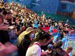 -烟台海昌鲸鲨海洋公园