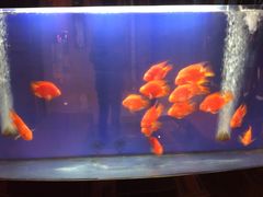 -北京西单美爵酒店