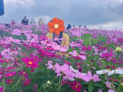 -花开海上生态园