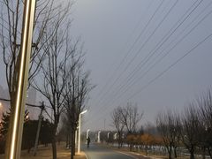 -坝河休闲公园