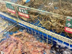 -飞尝蚝·顺德菜·鱼生(顺德总店)