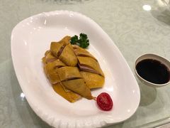 白切绍兴墩鸡-绍兴饭店(大宁店)