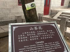 -青岛崂山太清宫