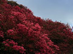 -木兰云雾山